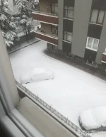 IMG_1455.webp IMG_1455.webp